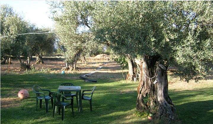 Hotel Rural Hojaranzos Tejeda Del Tietar Restaurant photo